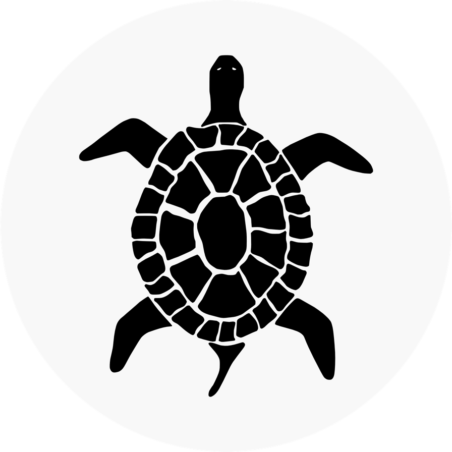 Kyoto International School - House Teams - Black Turtles